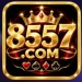 8557.com